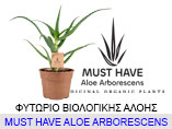 must-have-aloe
