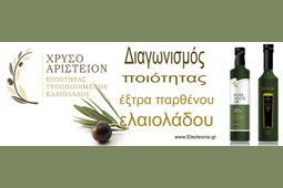 21-elaiotexnia-9