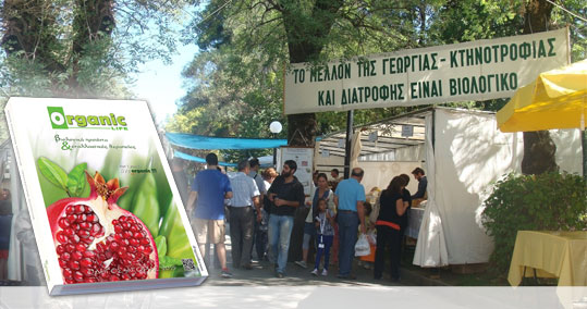 20-oikologiki-giorti-karditsas