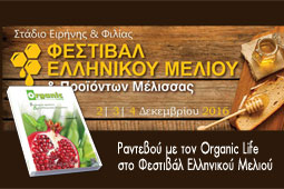 29-organic-fest-9