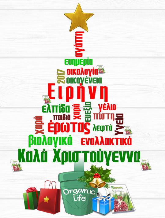 24-xronia-polla-dentro