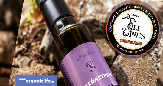 08-elaiones-sakellaropoulou