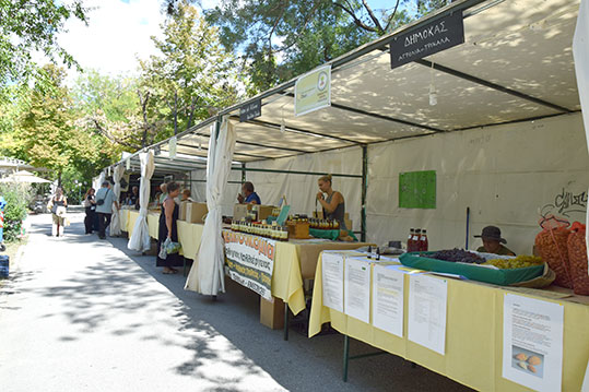 29-oikologiki-giorti-karditsas-20