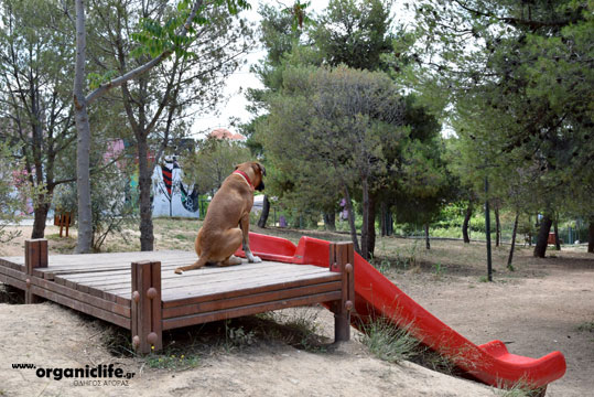 30-parko-skilon-petroupoli-1