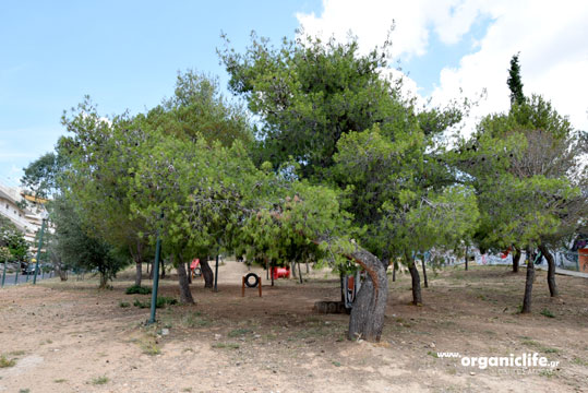 30-parko-skilon-petroupoli-2