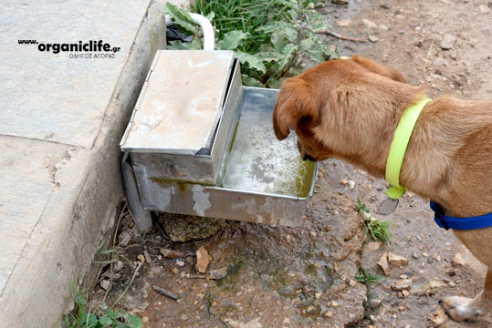 30-parko-skilon-petroupoli-5