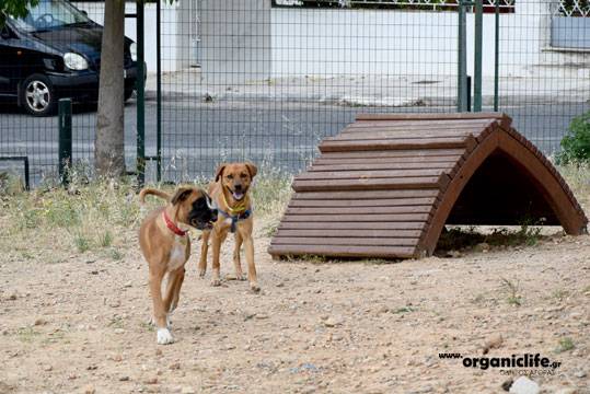 30-parko-skilon-petroupoli-6