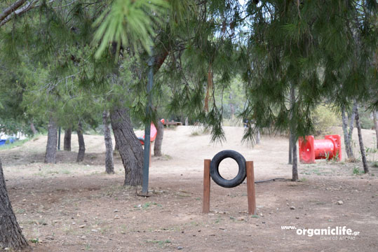 30-parko-skilon-petroupoli-7