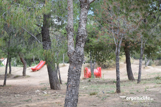 30-parko-skilon-petroupoli-8