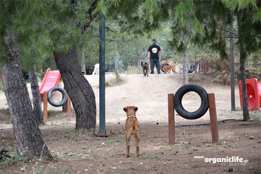 30-parko-skilon-petroupoli