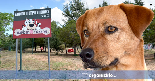 30-sto-parko-skilon-petroupolis-9