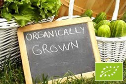 organic_9