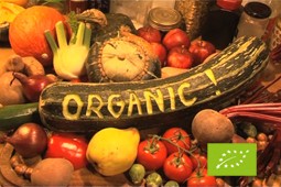 organic 9