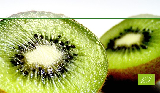 kiwi