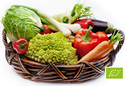26-biologika-9