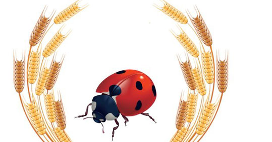 26-agores-viokalliergiton