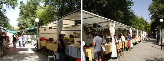 23-oikologiki-giorti-karditsas-1