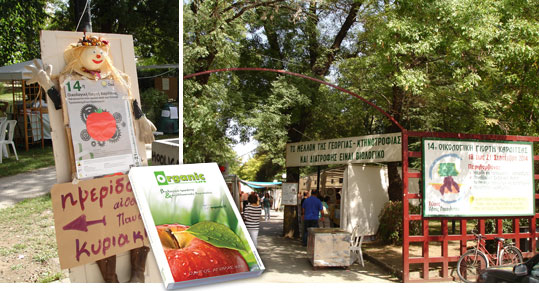 23-oikologiki-giorti-karditsas