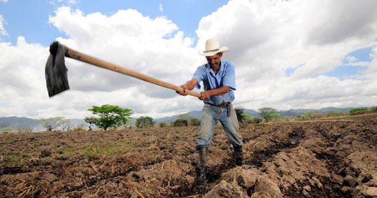 10-organic-life-biologika