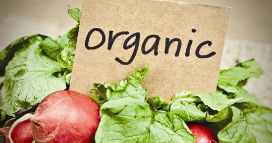 11-biologika-kanonismos