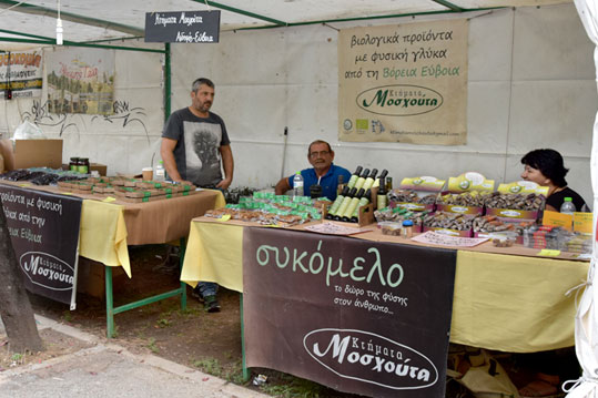 28-oikol-ktimata-mashouta