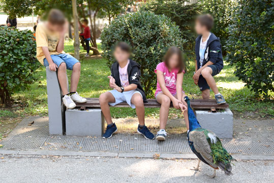 28-oikol-pagoni-paidia