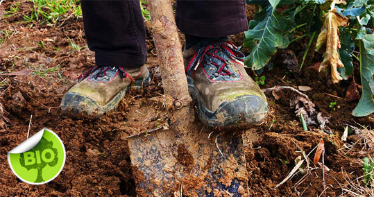 25-biologika-stremmata