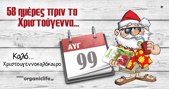 28 kalo-xristougennokalokairo