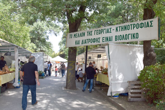 27-oikologiki-giorti-karditsas-2