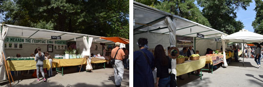 27-oikologiki-giorti-karditsas-6