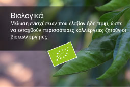 13-viologika-9