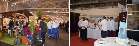 01-organic-expotrof-11