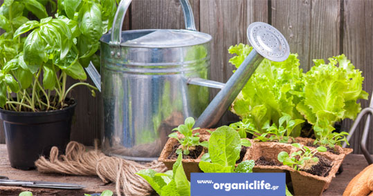 26-biologiki-georgia