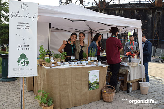 15-bio-festival-silver-leaf