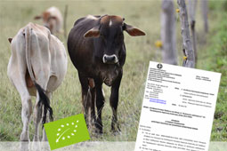 27-biologika-9