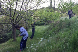 12-kastania-9