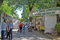 29-karditsa-9