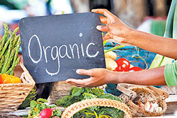 26-organic-9