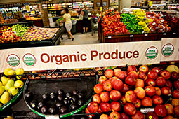 04-organic-9