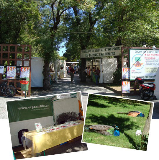 04-oikologiki-giorti-karditsas