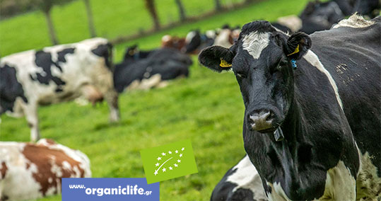 09-biologika-epidotiseis