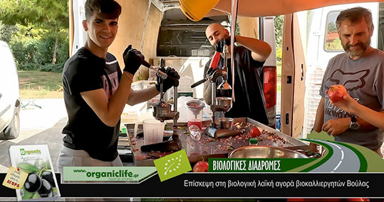 17-biologikes-laikes