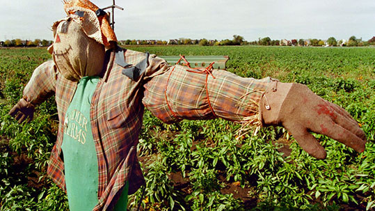 18-biologika-pliromes