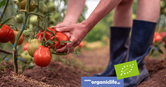 06-epidotiseis-biologika