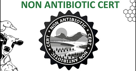 23-non-antibiotic-cert
