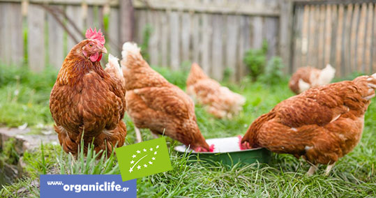 21-biologika-auga-epitropi-ypaat