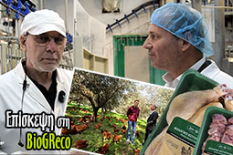 20-biogreco-biologiko-kotopoulo-9