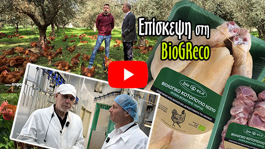 20-biogreco-biologiko-kotopoulo-yt