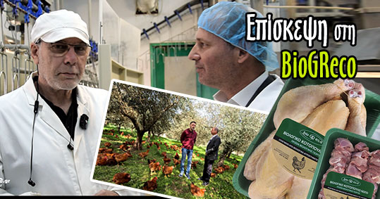 20-biogreco-biologiko-kotopoulo