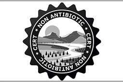 11-non-antibiotic-9